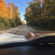 I love driver POV shots with this hood